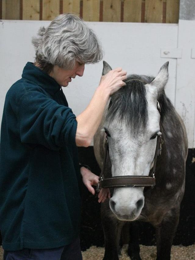 Tellington TTouch Training ear work with Erica Donnison of The Posture Clinic